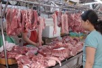 Việt Nam tiêu hủy 5,6 triệu con lợn do dịch tả lợn châu Phi