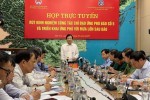 Bão số 5 vừa qua, cơn bão mới lại sắp hình thành nguy cơ gây mưa rất to