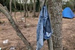 Người di cư chờ sang Anh chết trong lều ở Calais gây phẫn nộ