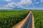 Sắp khởi công dự án thứ 2 của tuyến cao tốc Bắc - Nam nhánh Đông