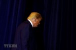 Đảng Dân chủ bổ sung 8 nhân chứng luận tội Tổng thống Donald Trump