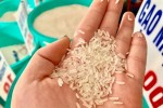 Sau đăng quang quán quân ngon nhất thế giới, gạo ST25 Việt Nam "cháy hàng"