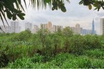 TP.HCM: Chỉ đạo khẩn về quản lý, kinh doanh bất động sản