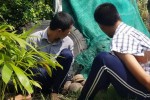 73 học viên cai nghiện Tiền Giang bỏ trốn được đưa trở lại trại