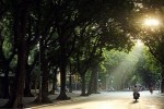 Xuất hiện áp thấp trên Biển Đông