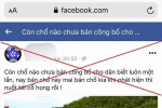 Bác tin 200 hecta đất trên núi Hải Vân rơi vào tay người Trung Quốc