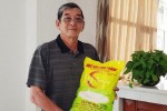 Cha đẻ gạo Việt ngon nhất thế giới: "Có hàng trăm nơi làm giả gạo ST25"