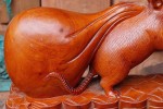 Tròn mắt thấy con chuột khổng lồ bóng loáng, nặng 10kg