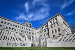 Chính quyền Trump làm tê liệt WTO giữa cơn bão thương chiến