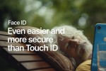 Một nửa màn hình của iPhone 12 sẽ trở thành Touch ID