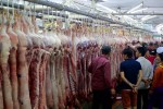 "Vỡ trận" giá thịt heo