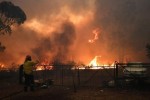 Nóng 41,9 độ C gây nhiều đám cháy rừng, bang đông dân nhất Australia tuyên bố tình trạng khẩn cấp