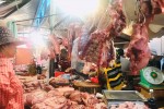 Vỡ trận, giá heo hơi có thể vượt mốc 100.000 đồng/kg