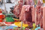 Cả nước còn 25 triệu con heo