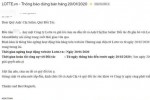 TMĐT quá khốc liệt, sau Adayroi đến lượt ông lớn Hàn Quốc Lotte.vn rời bỏ đường đua sau 3 năm miệt mài chinh chiến