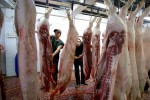 Người nuôi heo phản ứng trước phát ngôn của Thứ trưởng về giá heo hơi