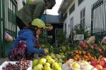 Trái cây tăng giá mạnh trước Tết