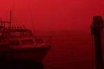 Australia đỏ rực, ngày hóa đêm vì cháy rừng bùng phát