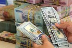 Chốt năm 2019: Tỷ giá trung tâm tăng 1,45%, giá USD tại ngân hàng giảm nhẹ