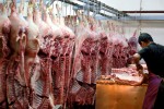 Giá heo hơi ngày 2.1: Miền Nam giảm sốc gần 20.000 đồng/kg