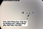 Đột phá: Các nhà khoa học vừa tạo ra một "dạng sống" hoàn toàn mới trên Trái Đất