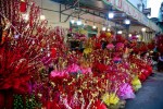Nụ tầm xuân Trung Quốc trưng Tết hút khách tại TP.HCM