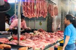 Giá heo hơi ngày 31.1: Yên ắng chờ thời
