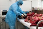 Thanh Hóa điều trị thành công cho nữ bệnh nhân nhiễm virus Corona