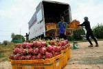 Ngân hàng giảm lãi cho doanh nghiệp thiệt hại vì nCoV