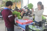 Giá rau Đà Lạt lên cao vì dịch nCoV