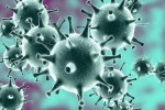 Phản ứng miễn dịch chống lại virus corona