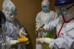 40 y bác sĩ cùng bệnh viện nhiễm virus corona