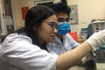 Việt Nam bắt đầu thử nghiệm thuốc điều trị bệnh do virus Corona