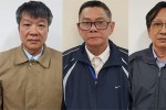 5 cựu lãnh đạo ở dự án cao tốc Đà Nẵng - Quảng Ngãi bị khởi tố
