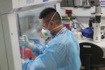 Australia thử nghiệm vaccine nCoV trên động vật