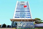 Hoàng Anh Gia Lai và Do Holdings muốn tham gia tái cơ cấu Công ty Bình Hà