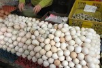 Trứng gà rẻ hơn rau, chủ trang trại lỗ chục tỷ đồng