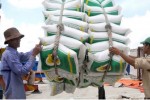 Đề nghị Bộ Công an điều tra có hay không tiêu cực trong xuất khẩu gạo