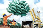 Các tỉnh ĐBSCL khẳng định không thiếu gạo, đề xuất bỏ hạn ngạch xuất khẩu