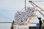 Bộ Công Thương đề nghị Bộ Tài chính thống kê lượng gạo khai khống, cho ý kiến gấp phương án xuất khẩu gạo