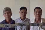 Khởi tố nhóm người khai thác gỗ trái phép ở Gia Lai