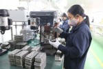 Cơ hội đón “đại bàng” về Việt Nam làm tổ