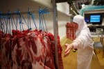 Pháp lo ngại các lò mổ gia súc có thể trở thành ổ dịch COVID-19