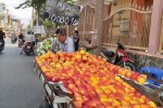 "Táo Mỹ" 30.000 đồng một kg bán đầy đường