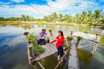 Giá tour siêu rẻ cho người Việt đi du lịch khắp mọi miền đất nước