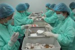 Việt Nam thử nghiệm đợt 2 vaccine Covid-19 trên chuột