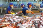 Xuất khẩu thuỷ sản sang Trung Quốc tăng mạnh trở lại