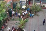 Cổng trường đóng, che bạt sau vụ học sinh tử vong do cây phượng đổ