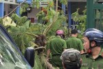 Thi thể học sinh tử nạn do cây phượng đổ ở TP.HCM được đưa về nhà