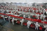 Vua thịt lợn Trung Quốc bị tàn phá vì trúng đòn kép